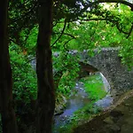 Hani Chrysomilou * كالوبانايوتيس