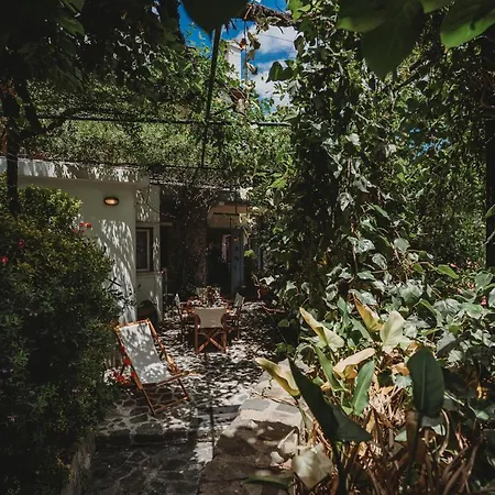 Hani Chrysomilou Holiday home