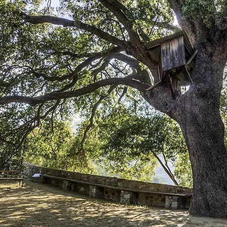 Hani Chrysomilou Case de vacanță *