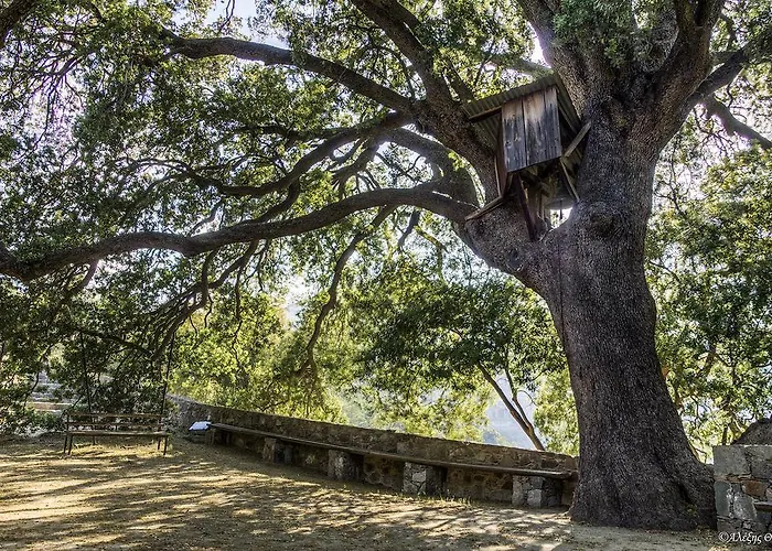 Hani Chrysomilou Semesterbostad *